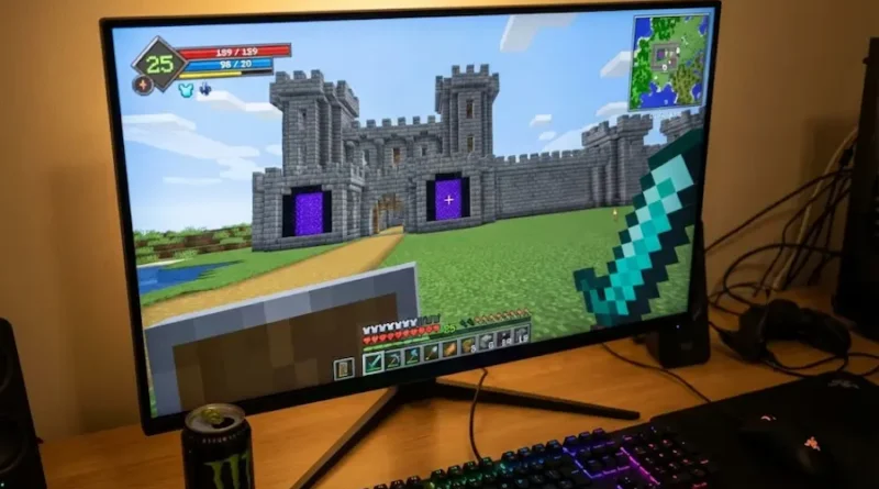 What is Pirate Software Minecraft Server (Blockgame Explained Simply)